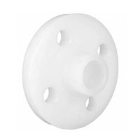 PVDF TS Flange