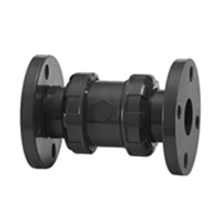 Flanged True Union Check Valve